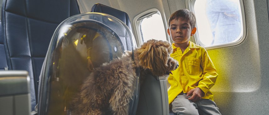 Travelling with your pets | Air Serbia